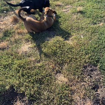 Deer Creek Village Dog Park